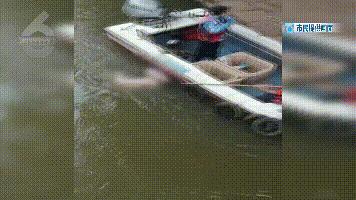 DƬ